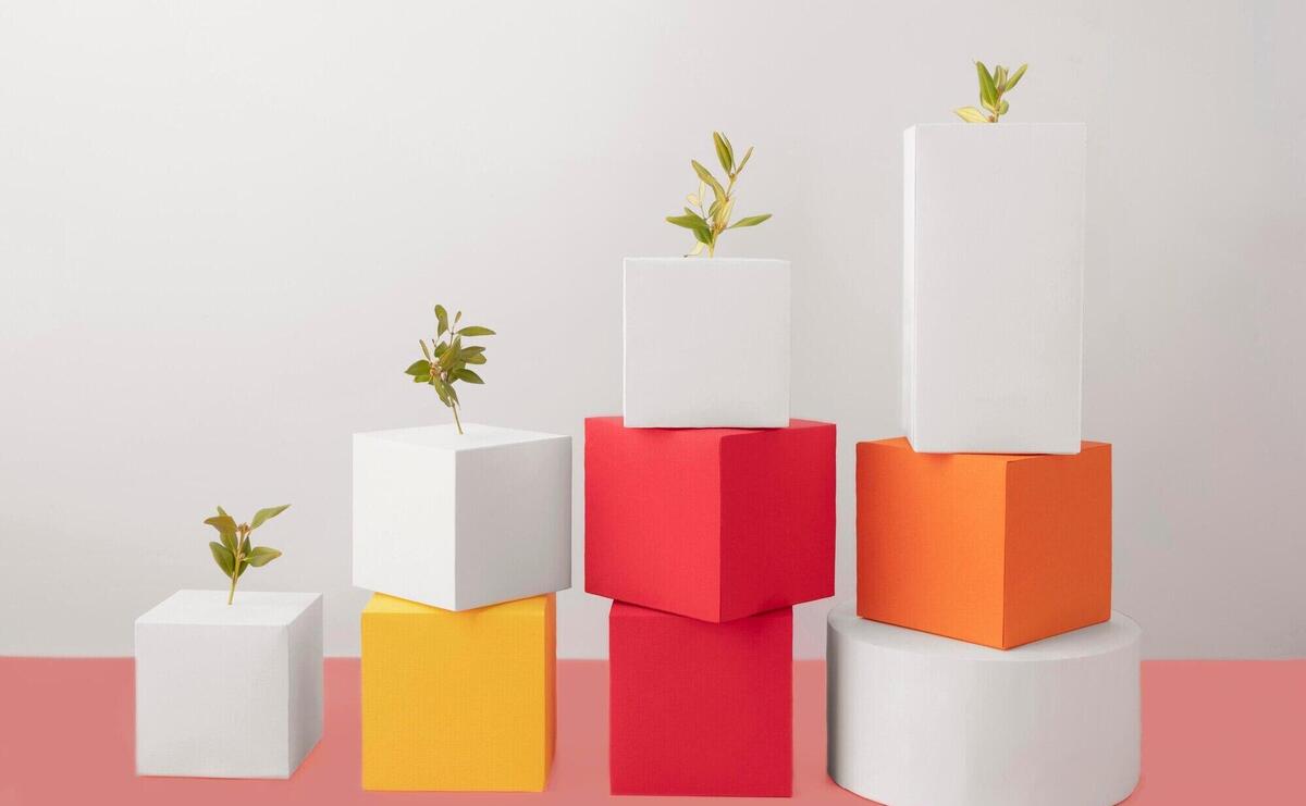 Blank geometric forms with plants growing for sustainability concept