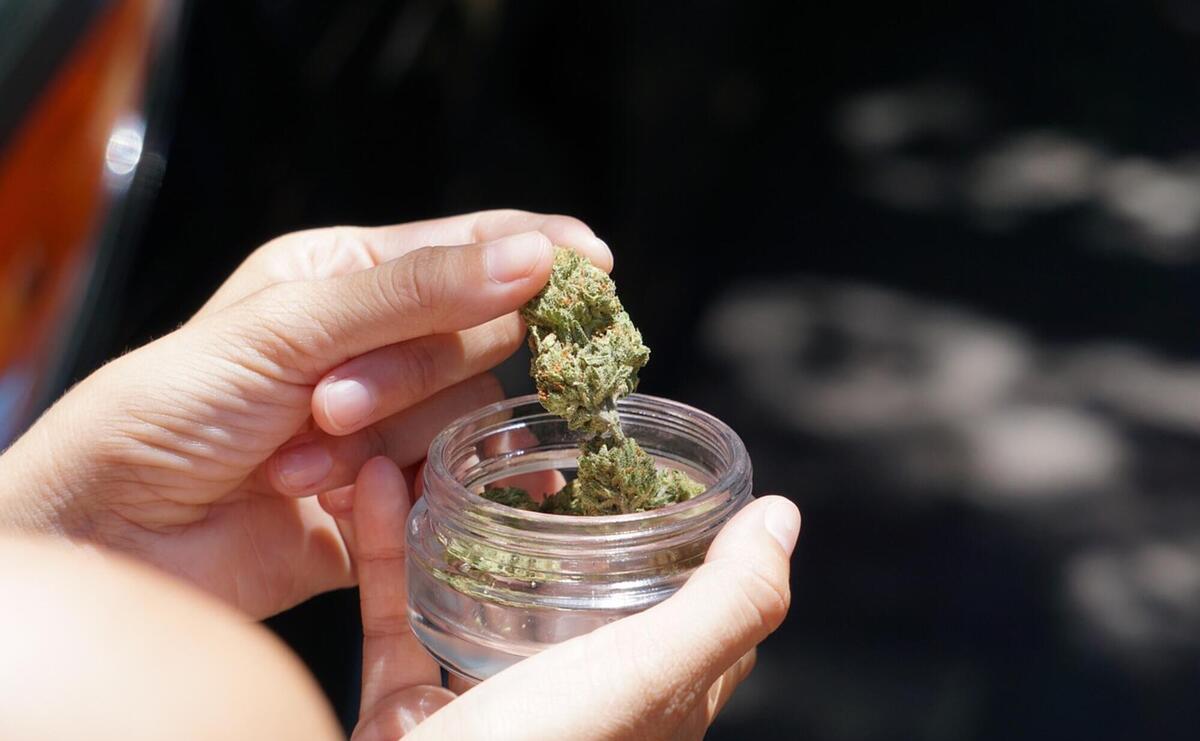 Hand, cannabis flower, jar