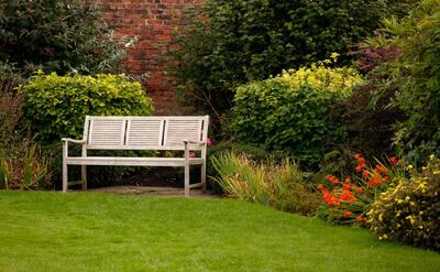 Shot of a white bench in a park