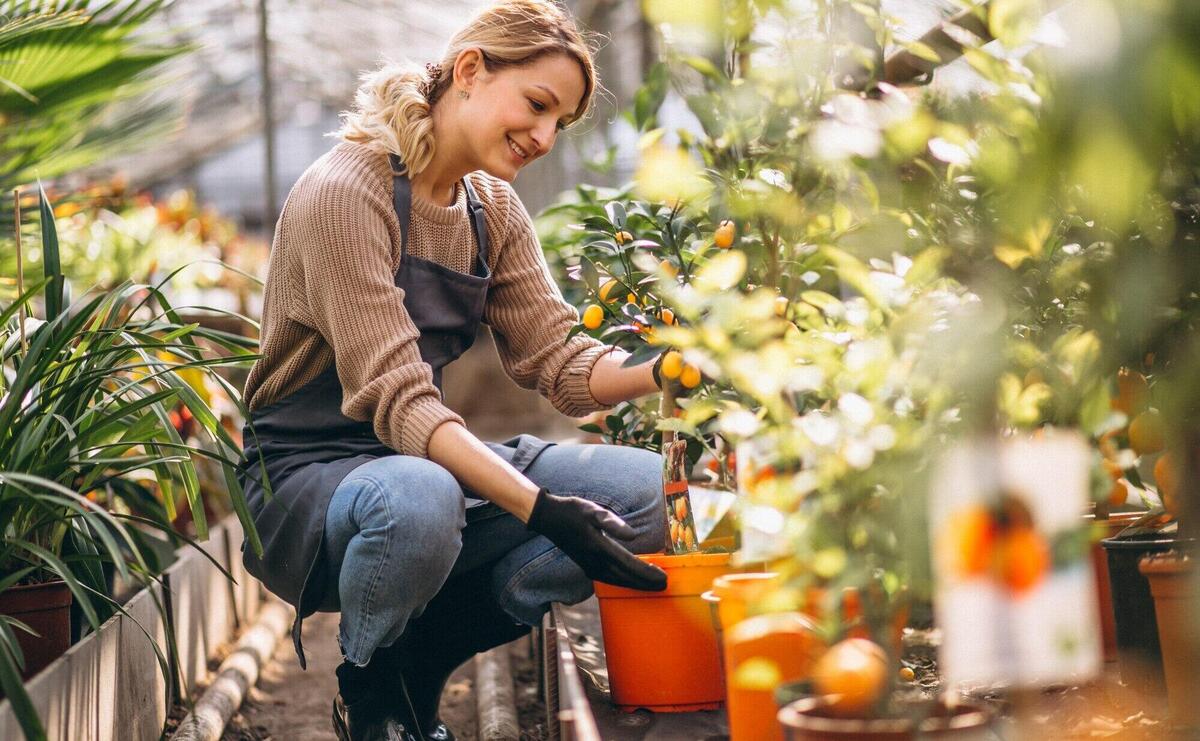 Woman looking after plants in a greenhouse