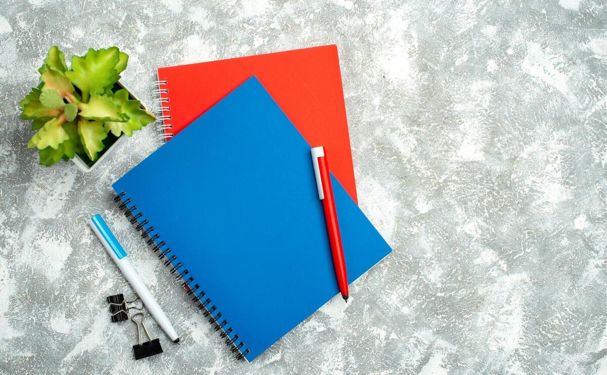 Overhead view of two colorful closed notebooks with pen and flower pot on gray background